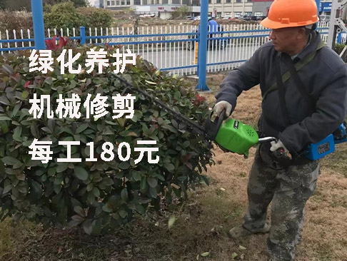 绿化养护