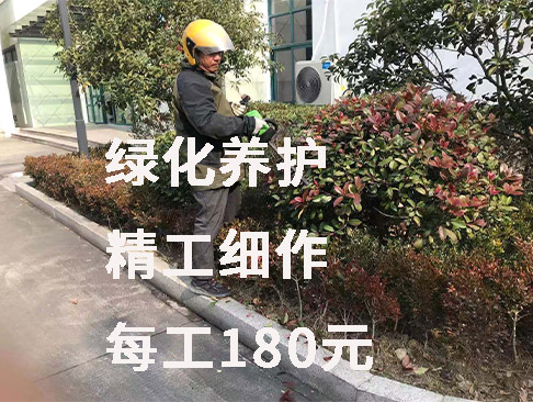绿化养护
